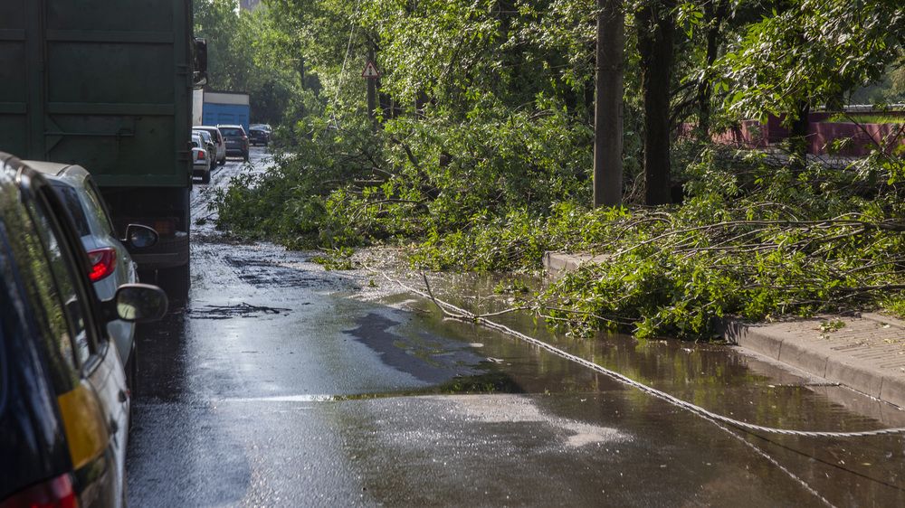Photograph by Алексей Борисов