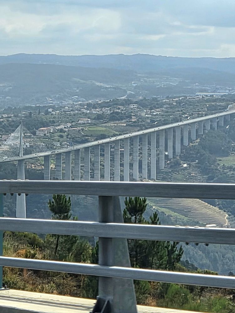 Фотография автора Elena Polonetskaya