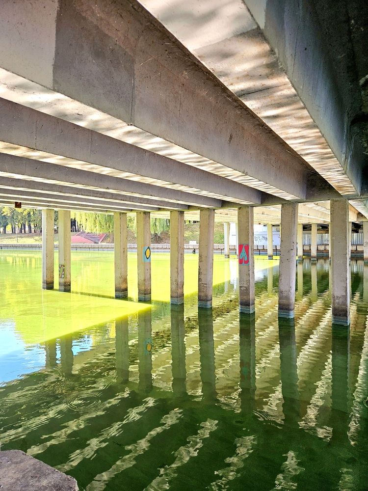 Фотография автора Elena Polonetskaya