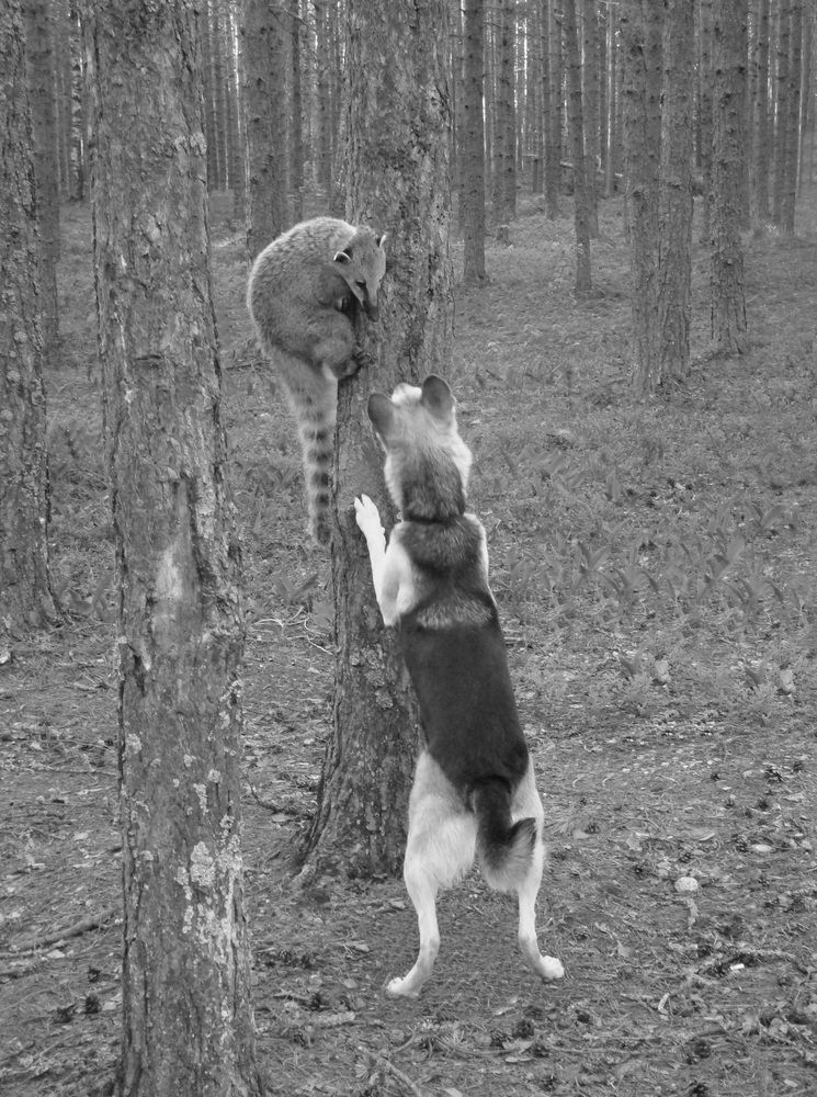 Photograph by Boris Butianov