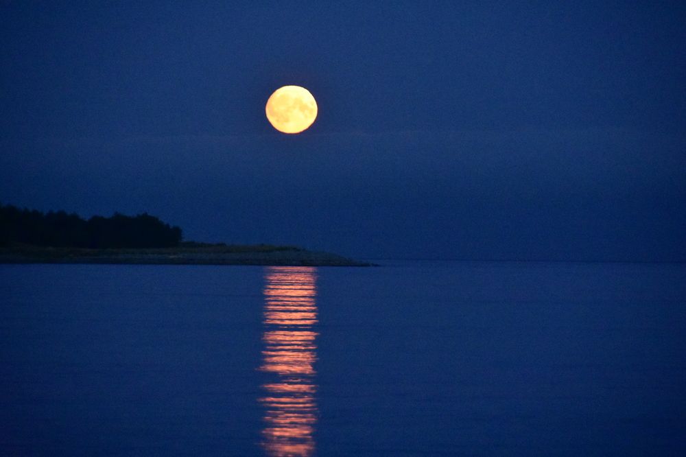 Photograph by Евгений Захаров