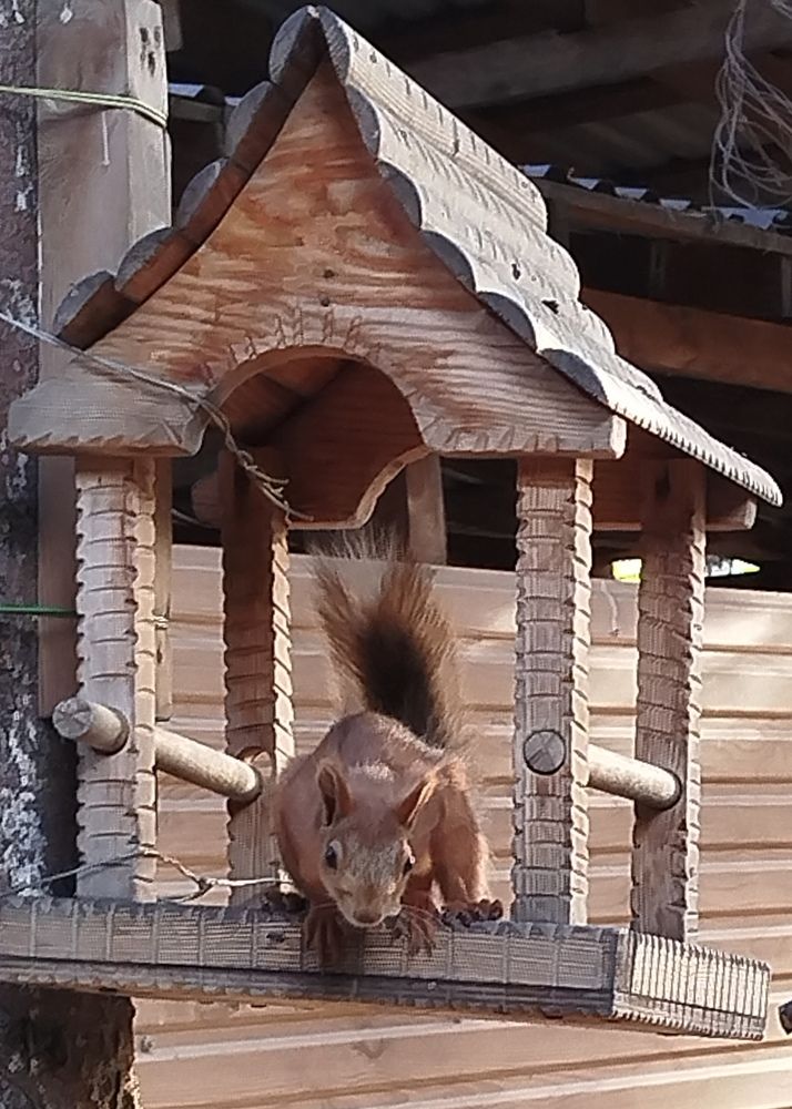 Photograph by Елена Алешкевич