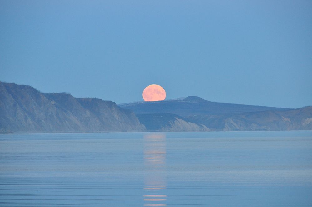 Photograph by Евгений Захаров