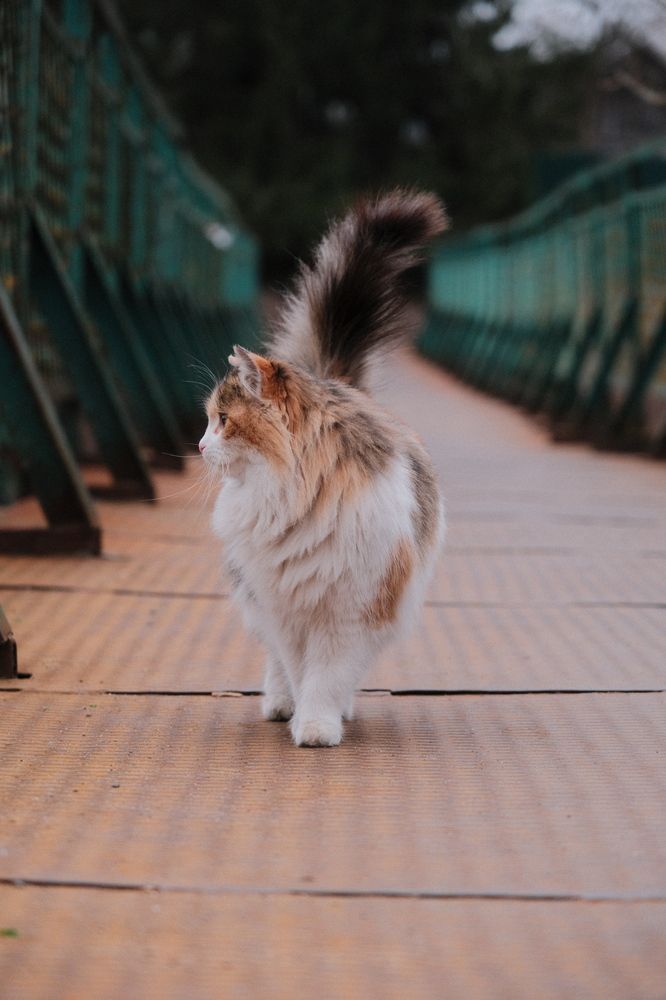 Photograph by Лапшин Алексей