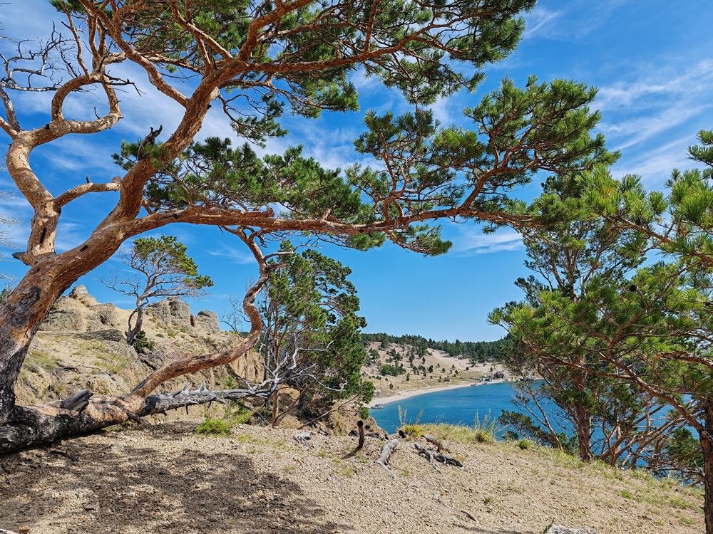 Photograph by Алёна Гильмуллина