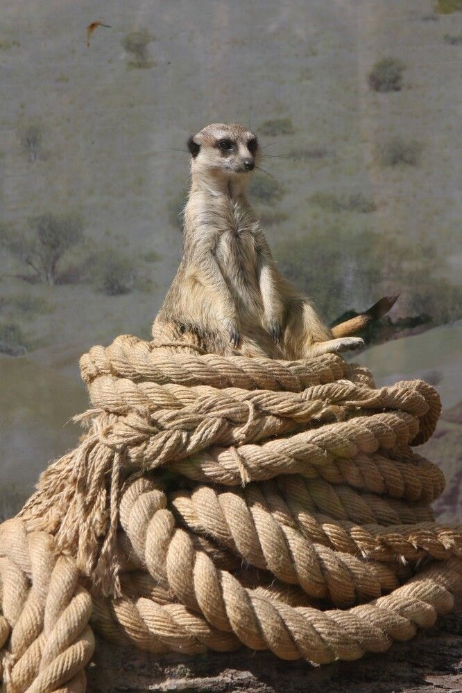 Photograph by Михаил Некрасов