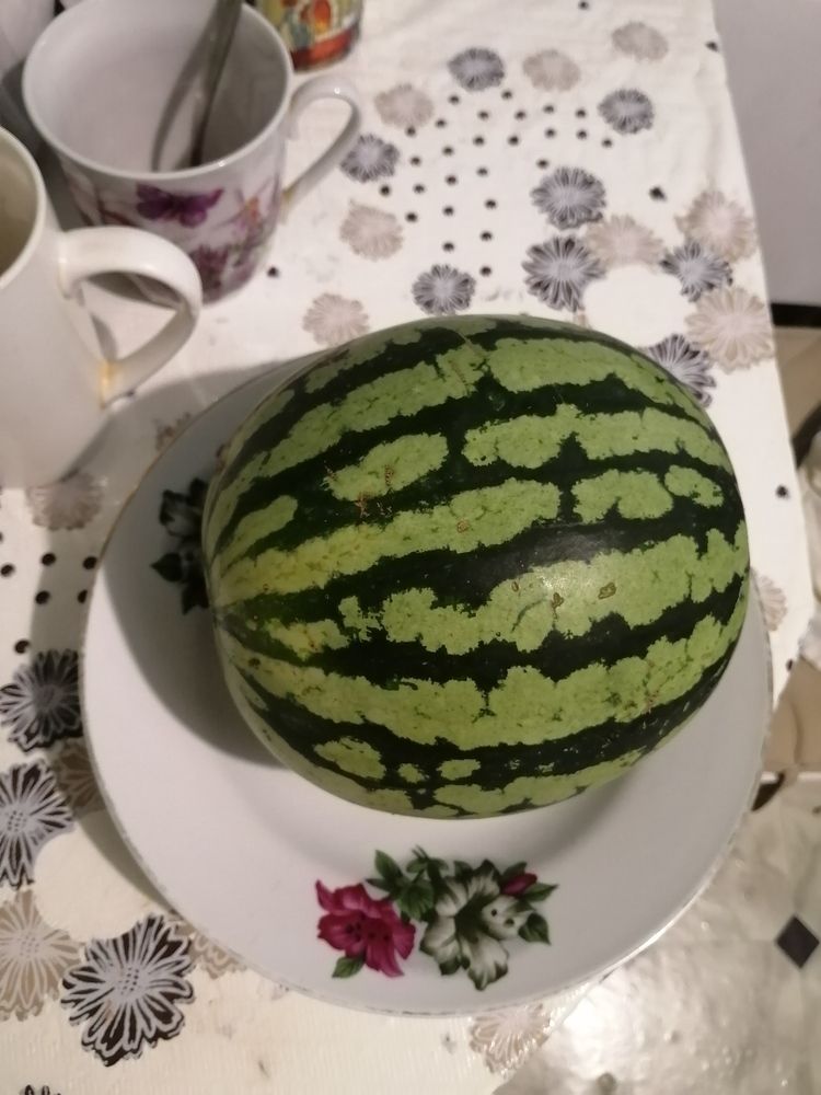 Photograph by Наталия