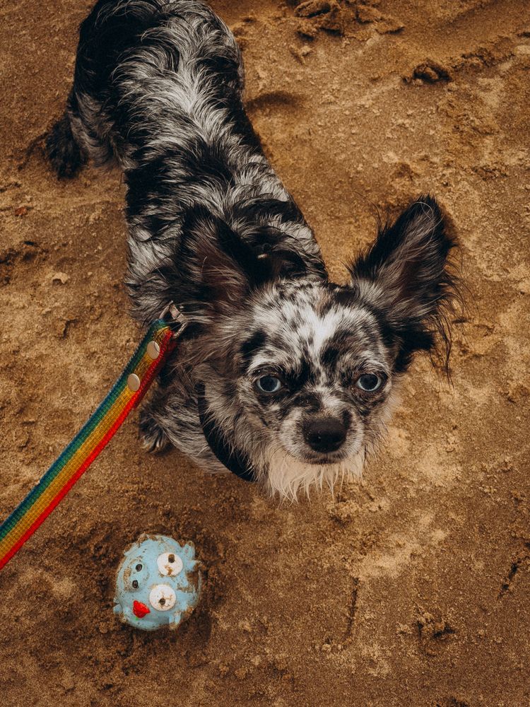 Фотография автора Марина