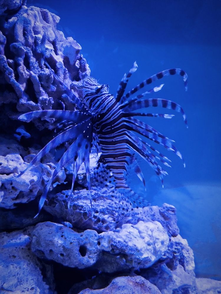 Photograph by Лариса Лысенко