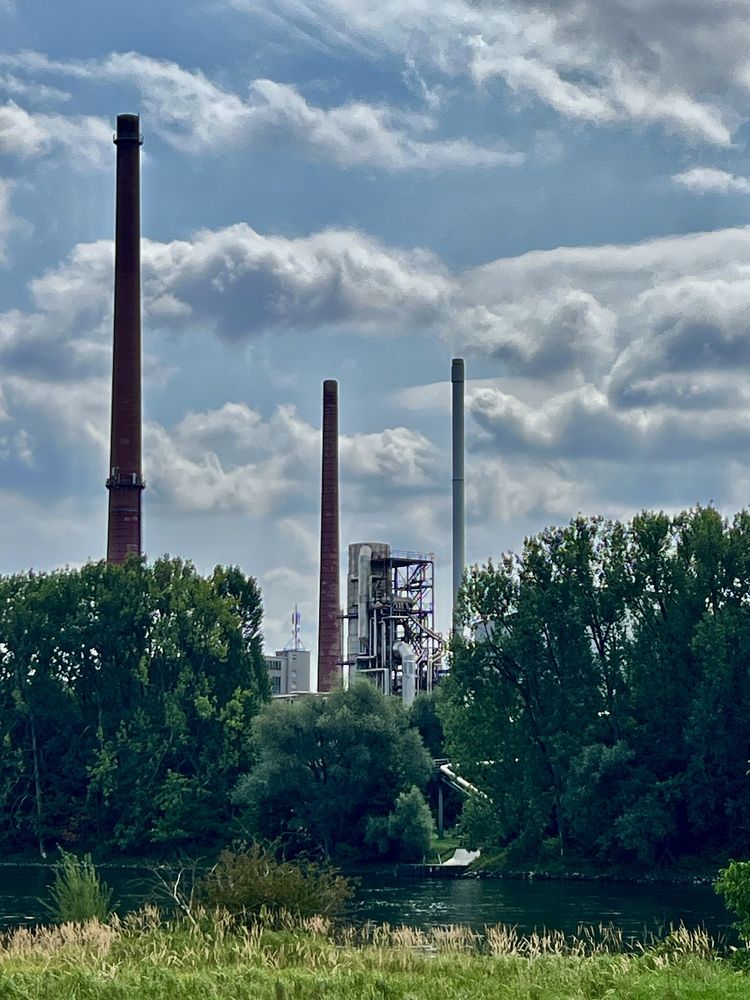 Photograph by Eugenia Schmidt