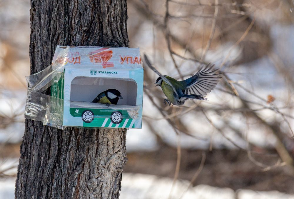 Photograph by Семенов Александр