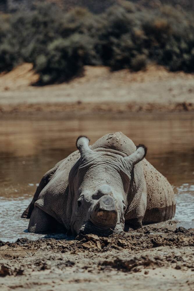 Photograph by EVGENII KOCHETKOV