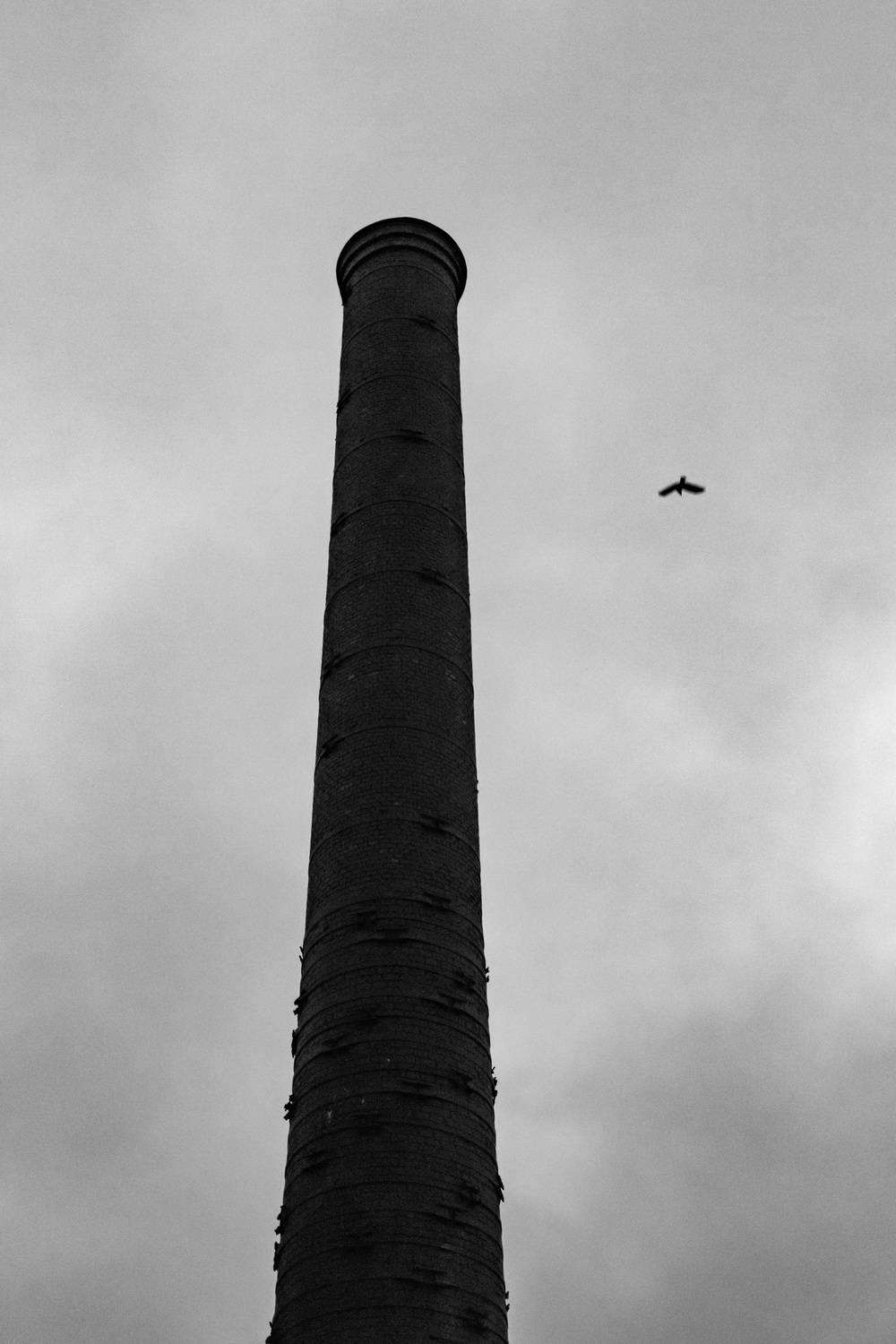 Фотография #12462350