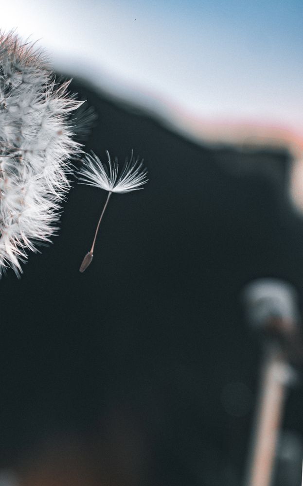 Фотография автора Геннадий Ломеко