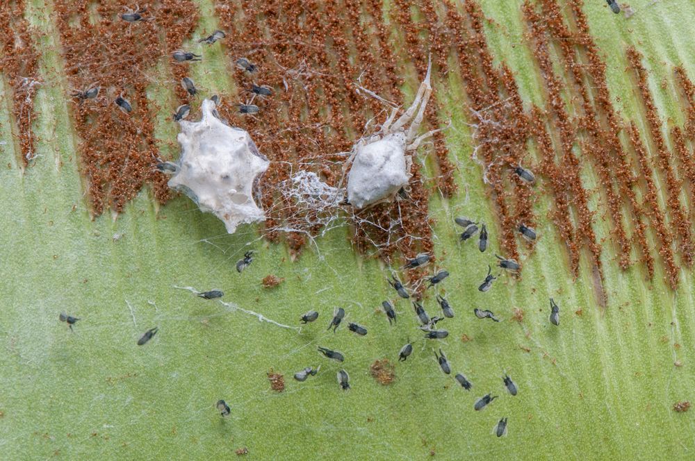 Photograph by Chamara Sulakkhana Polwatta Siriyalage