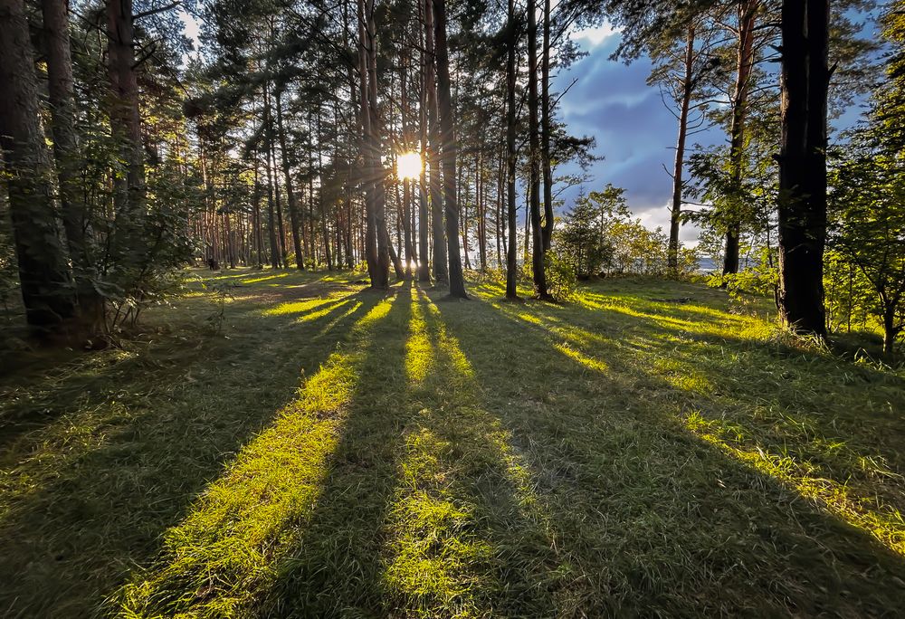Photograph by Дмитрий Захаров