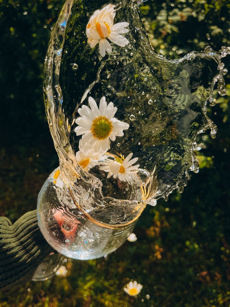 Photograph by Елена Михалева