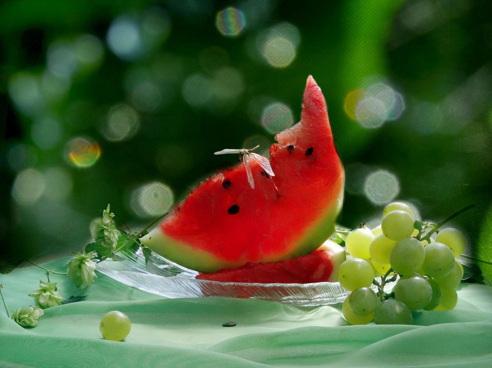 Photograph by Надежда Батракова