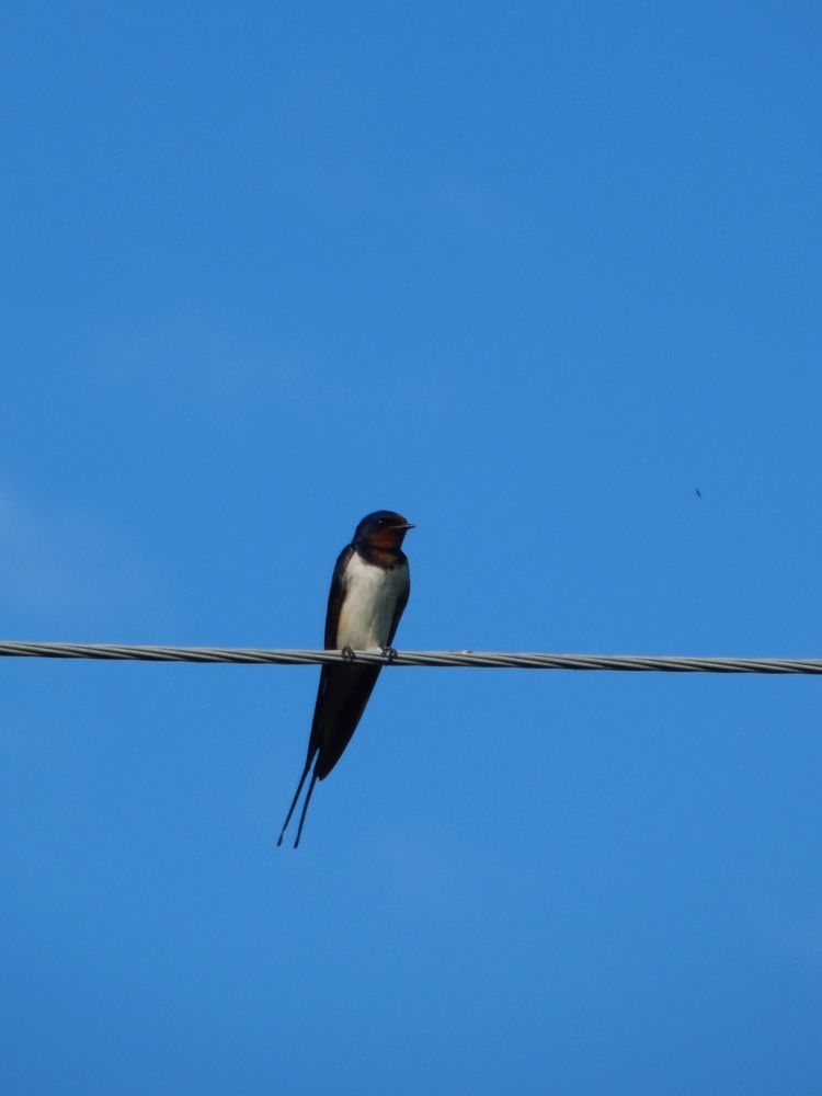 Photograph by Ольга Антонова