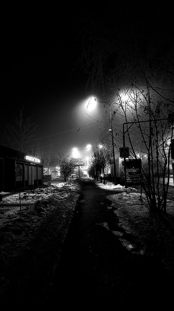 Photograph by Олеся Высокова