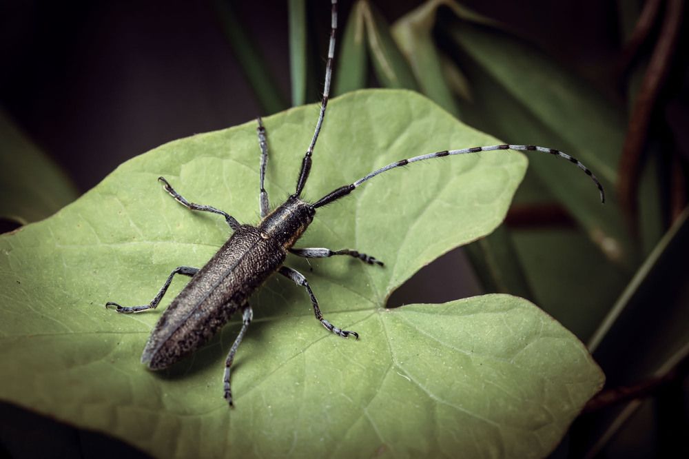 Фотография автора Сергей Назаредский