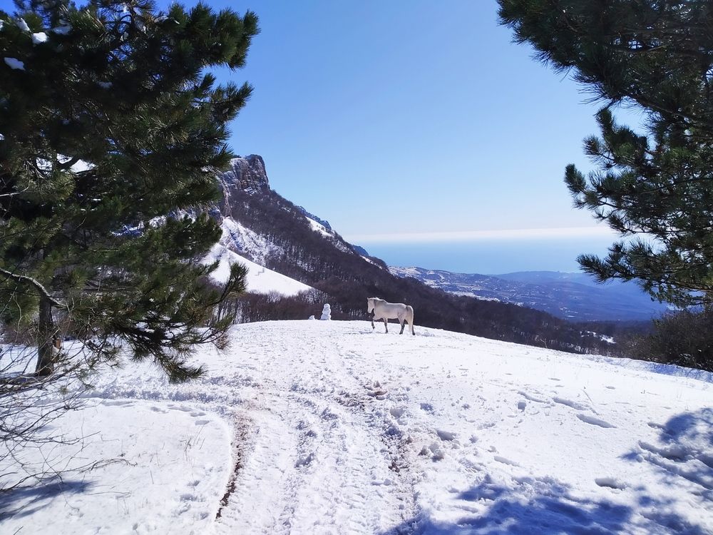 Photograph by Tanivsv