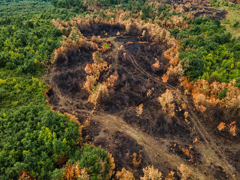 Photograph by Zoltan Gelencser