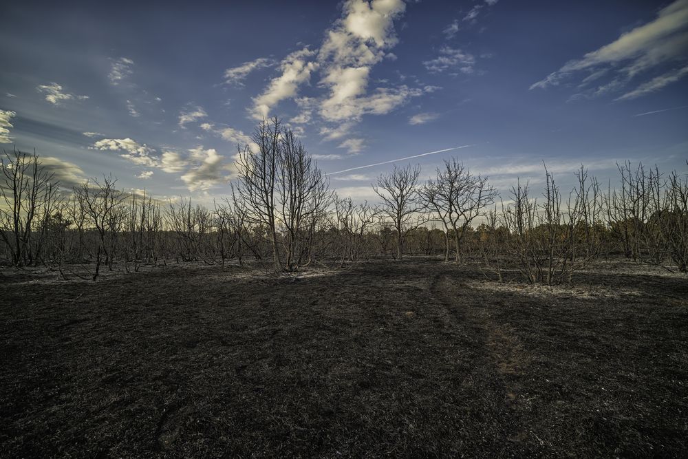 Photograph by Zoltan Gelencser