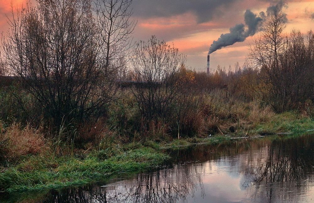 Фотография автора Е лена Е