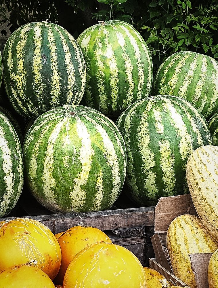 Photograph by Olena Chertous