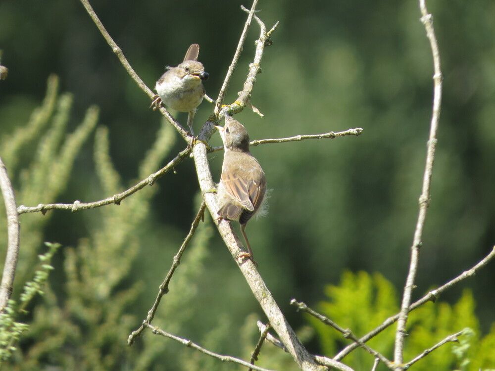 Photograph by Лариса Басова