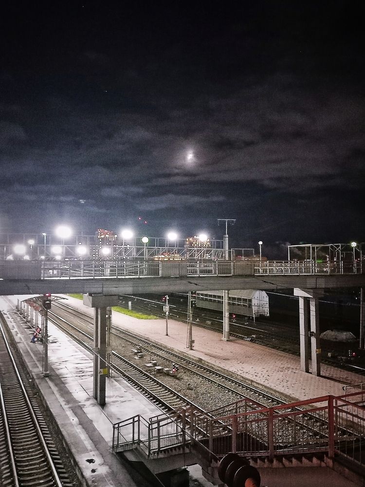 Photograph by Olena Chertous