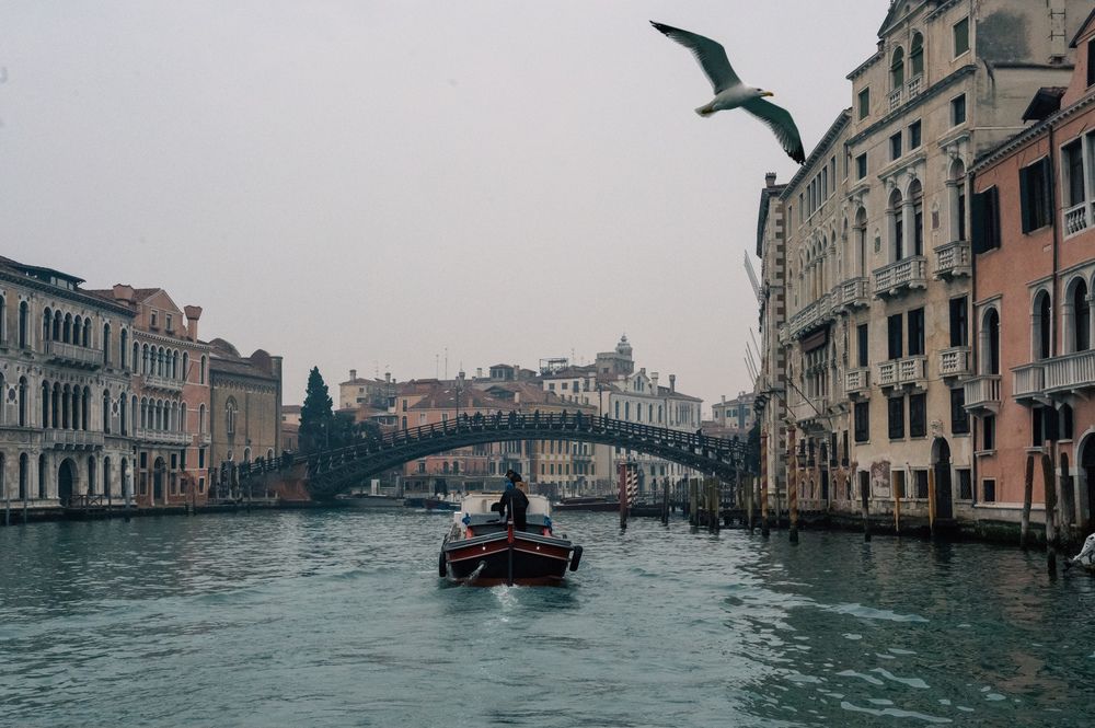 Photograph by esti lahat