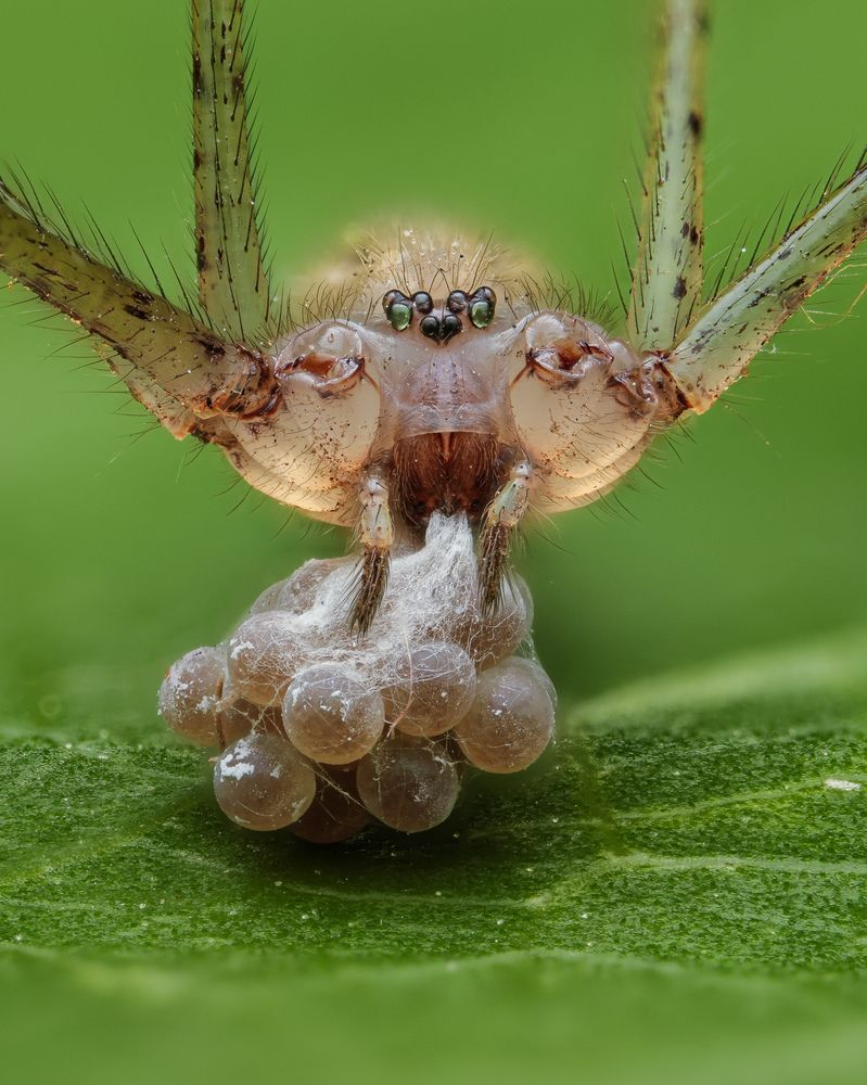 Photograph by Zeeshan Mahmud