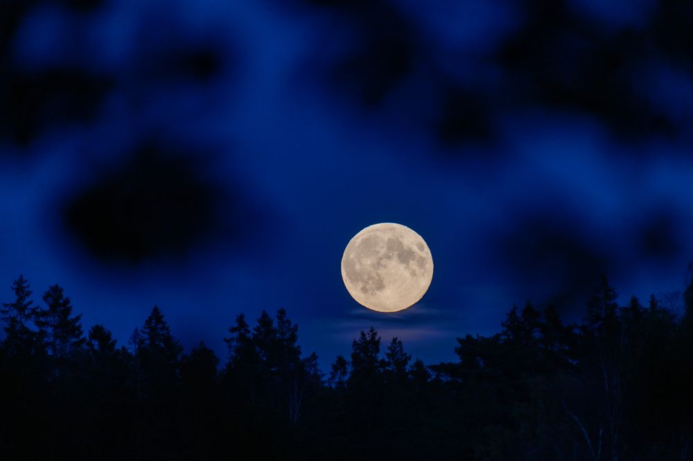 Photograph by Linda Persson