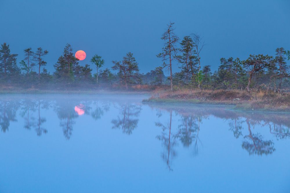 Photograph by Andres Papp