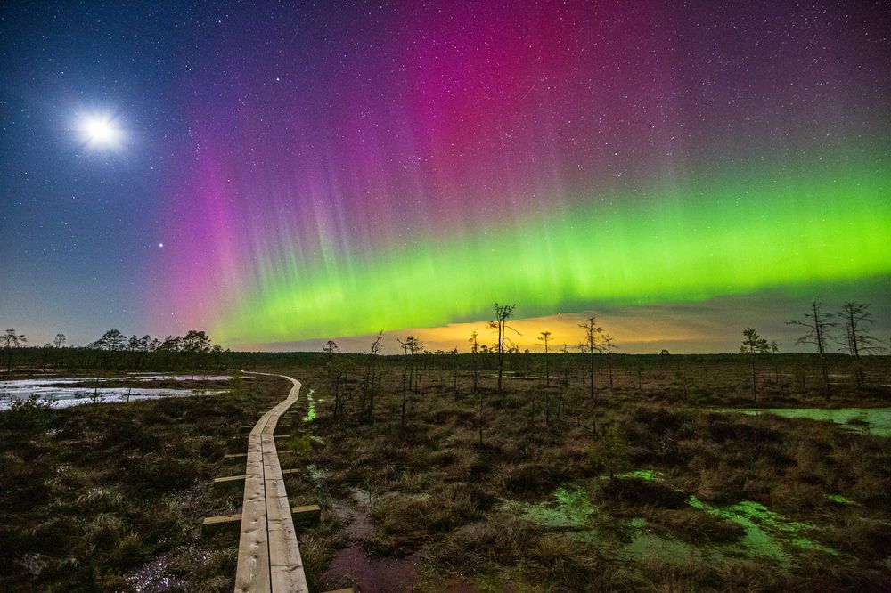 Photograph by Andres Papp