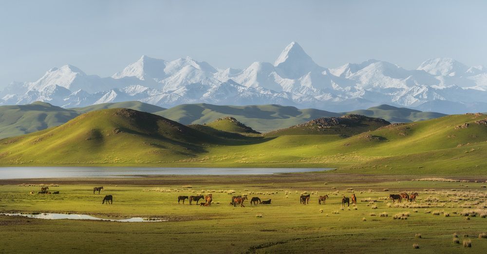 Photograph by Андрей Родионов