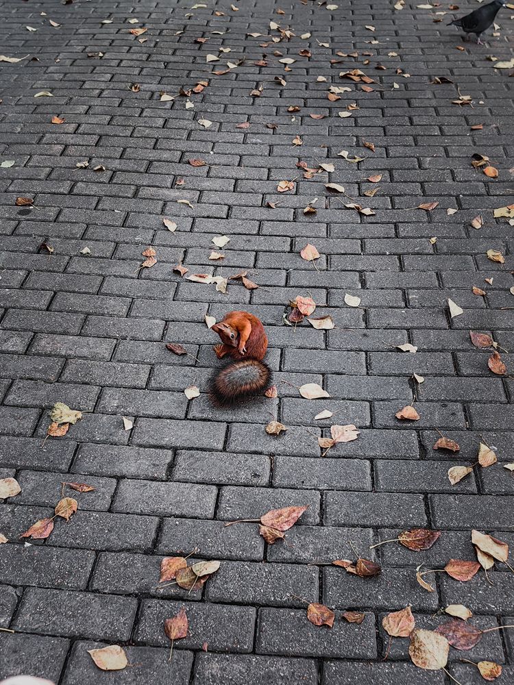 Photograph by Ксения Прохорова