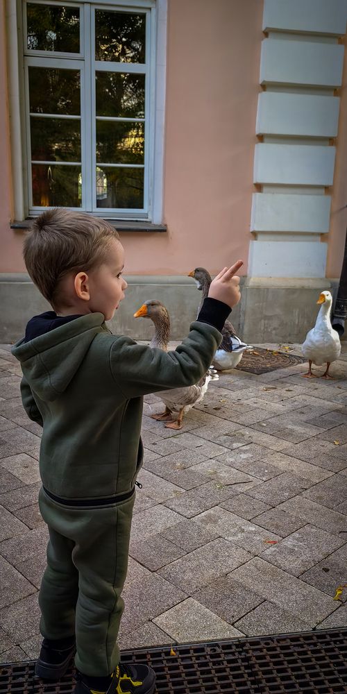 Photograph by Ксения Прохорова