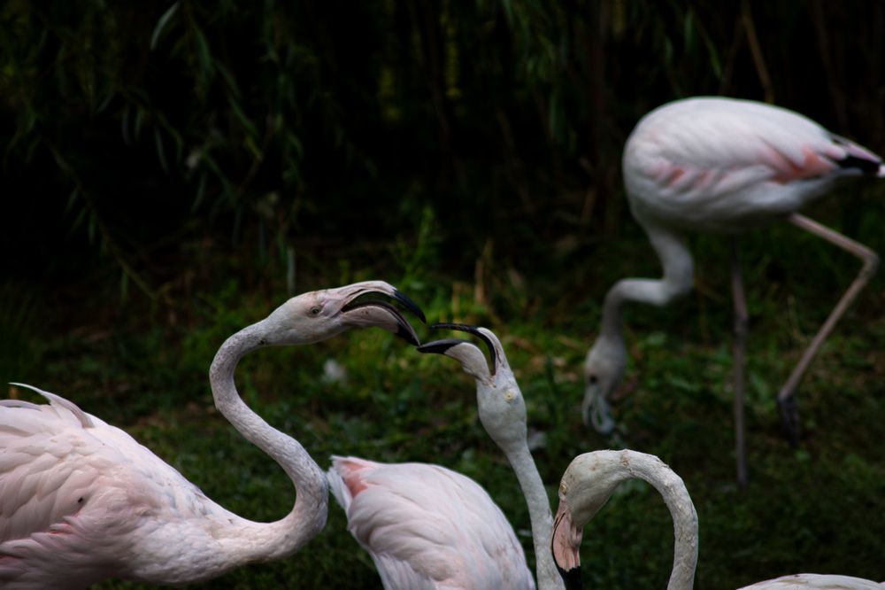 Photograph by Алина Орлова