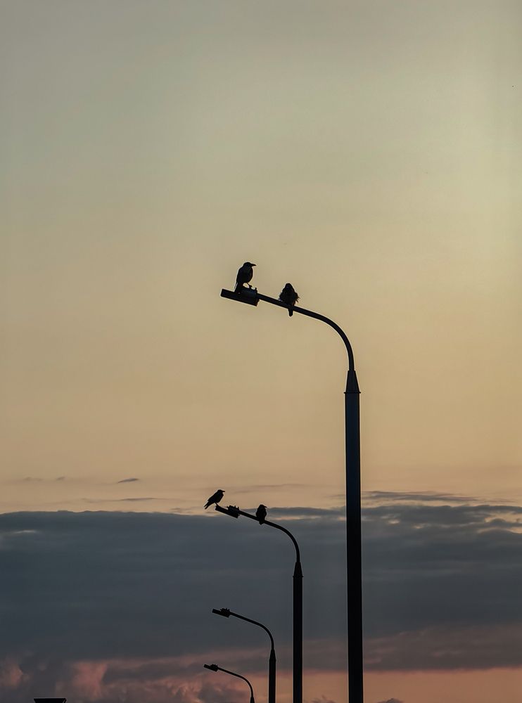 Фотография автора Ольга Панасюк