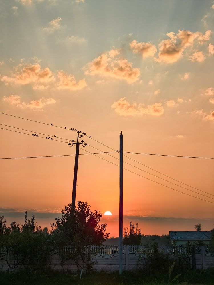 Фотография автора Ольга Панасюк