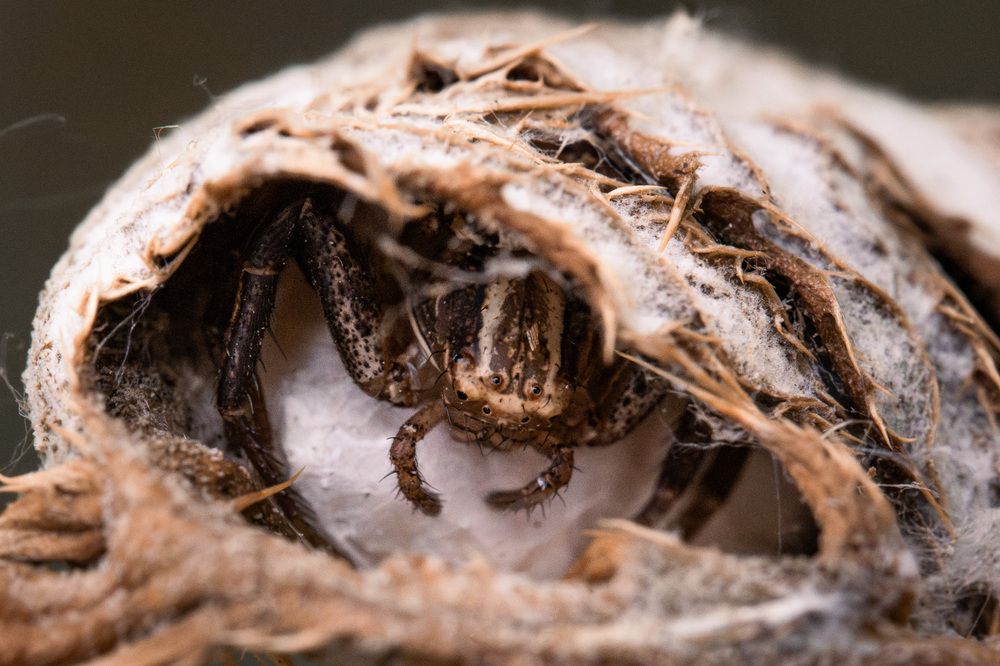 Photograph by Ольга Таланцева