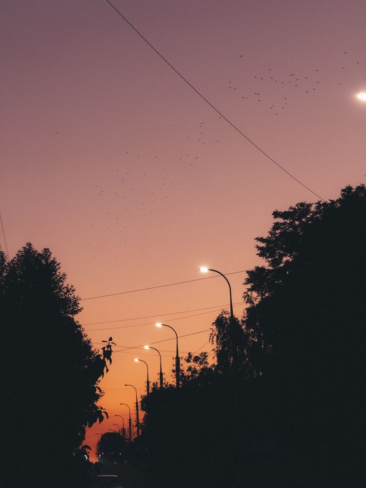 Photograph by Анна Голубцова