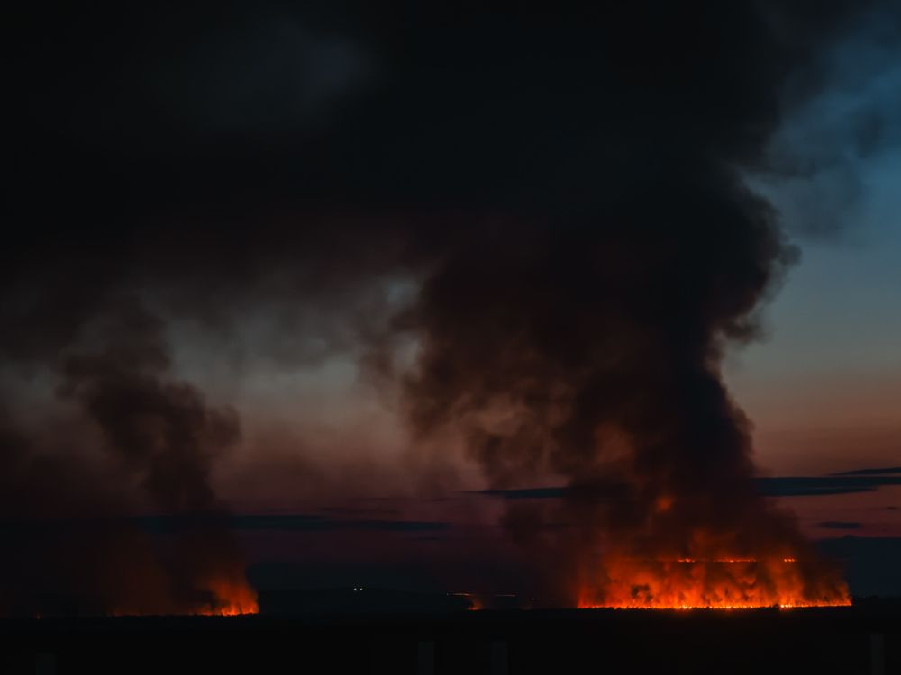 Photograph by Анна Голубцова