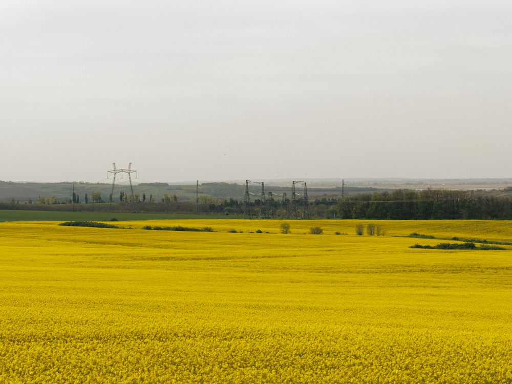 Photograph by Анна Голубцова