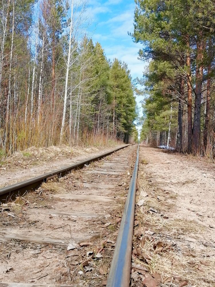 Photograph by Татьяна Бешенкина