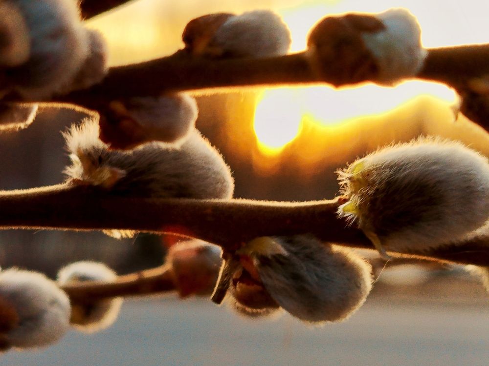 Photograph by Татьяна Бешенкина