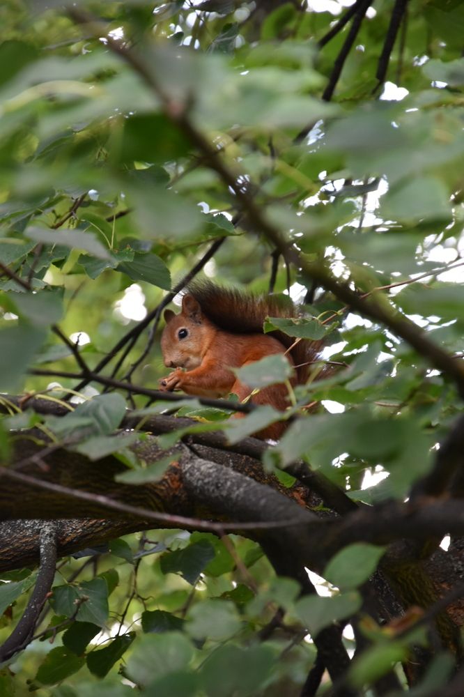 Photograph by Валерий Самошкин